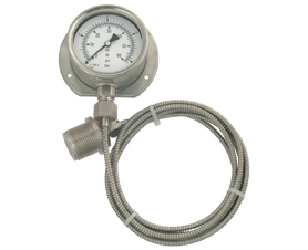 Stainless Steel Diaphragm Seal Gauges